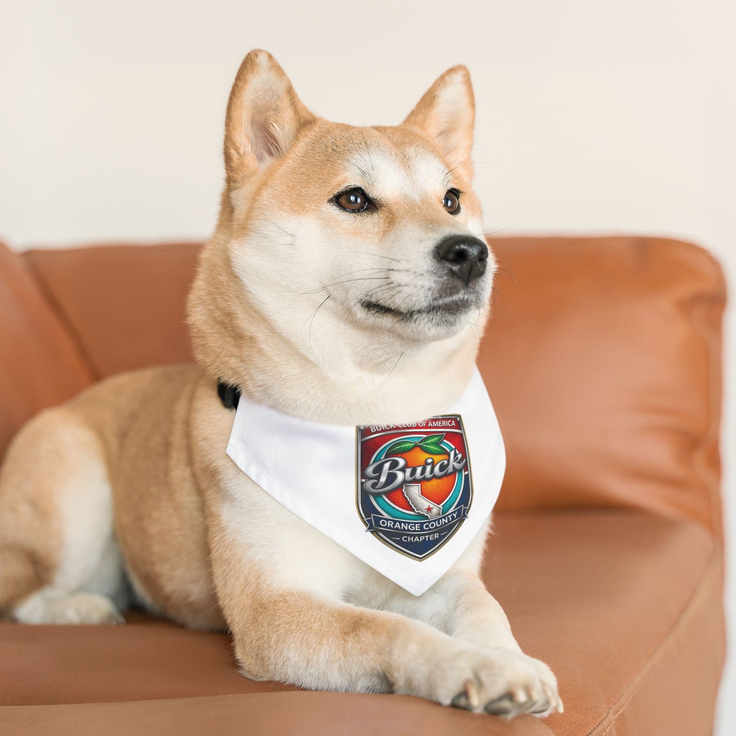 Buick Orange County Chapter Pet Bandana Collar