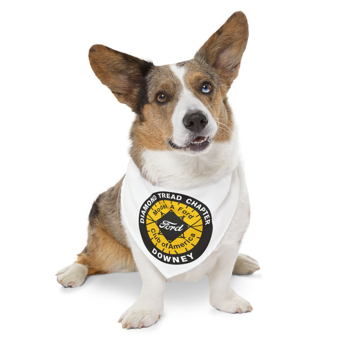 Diamond Tread Chapter Downey Logo Bandana for Dogs - Pet Bandana Collar