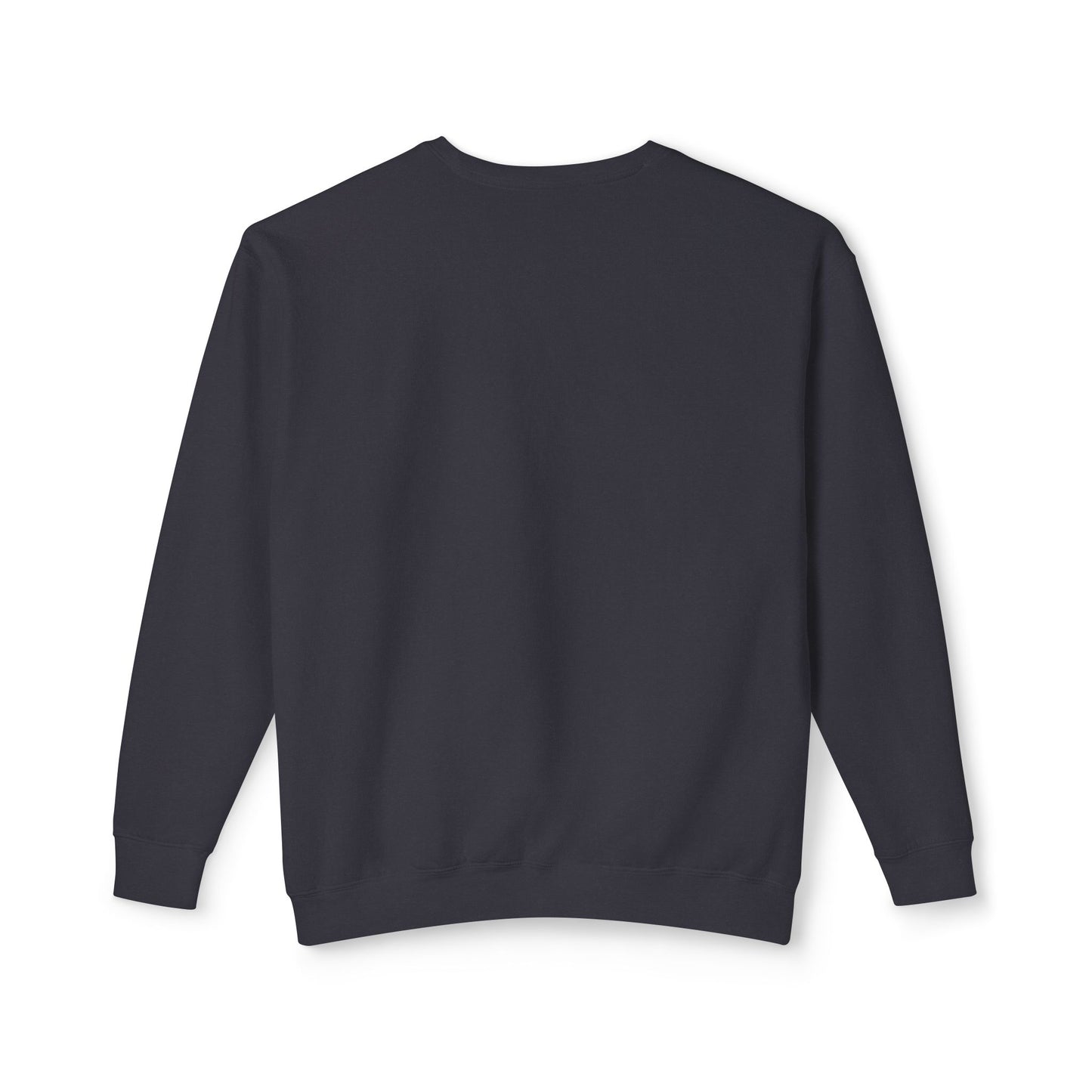 Nickel Era Touring Registry Retro Crewneck Lightweight Sweatshirt