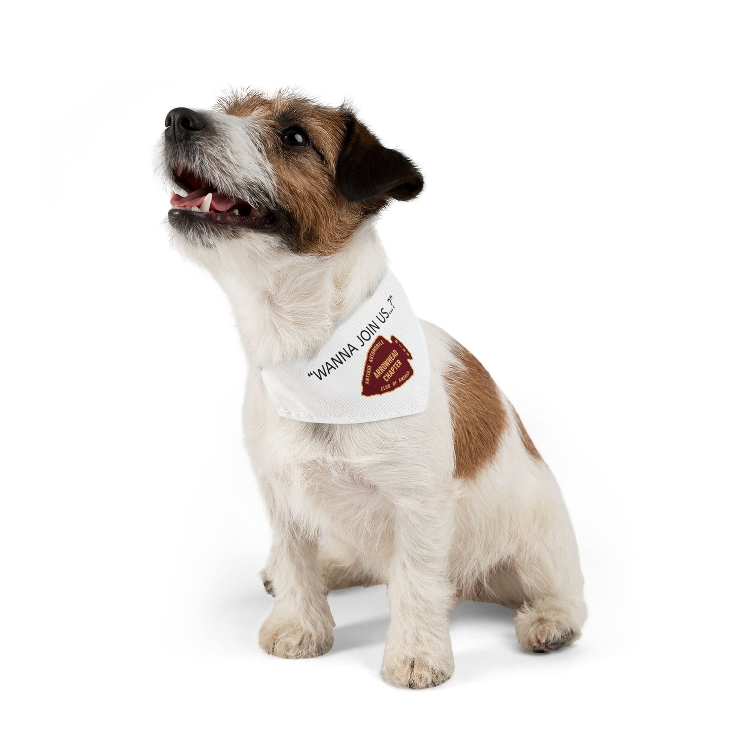 Arrowhead Chapter AACA Pet Bandana — "Wanna Join Us...?"