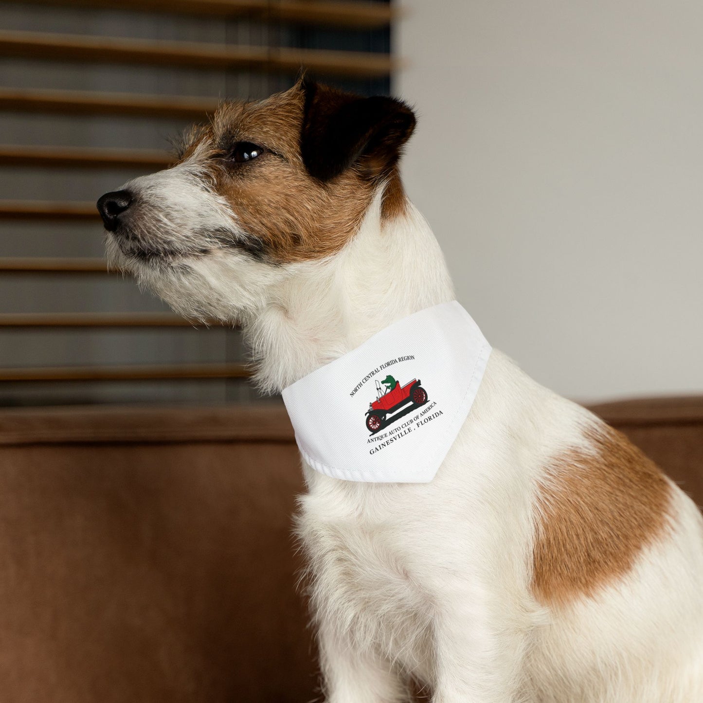 North Central Florida Region AACA Pet Bandana Collar — Gainesville Florida Antique Auto Club